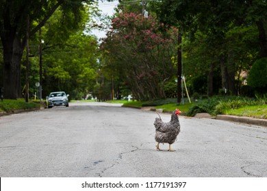 Best chicken road casino in Spain
